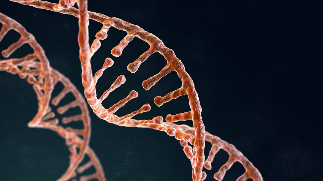 RNA production platform